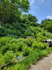 観音寺(京都府)