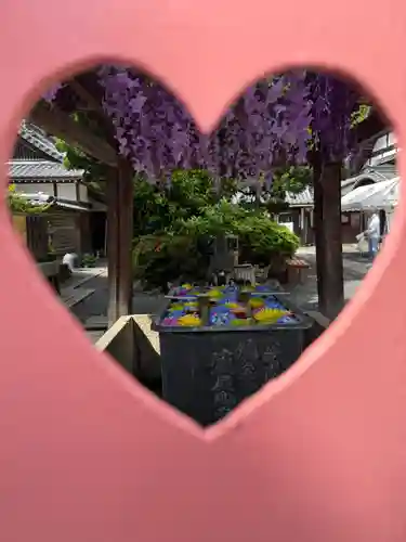 柳谷観音　楊谷寺(京都府)