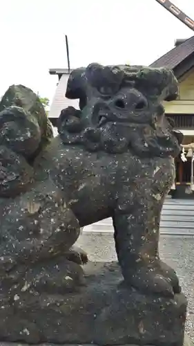 江南神社の狛犬