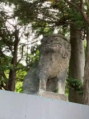 北見神社の狛犬