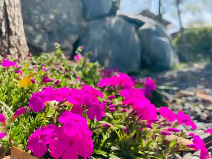 總社 和田八幡宮の自然