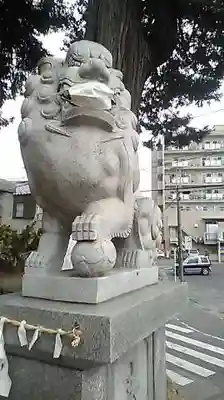 矢切神社の狛犬