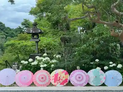 陽林寺(福島県)