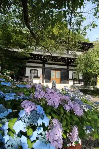 長谷寺(神奈川県)