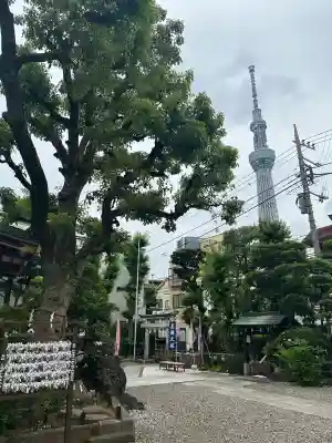 高木神社(東京都)