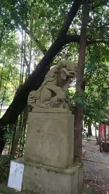 伊豆美神社の狛犬