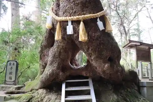 笠森寺のその他建物