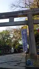 上野東照宮の鳥居