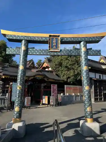 大杉神社(茨城県)