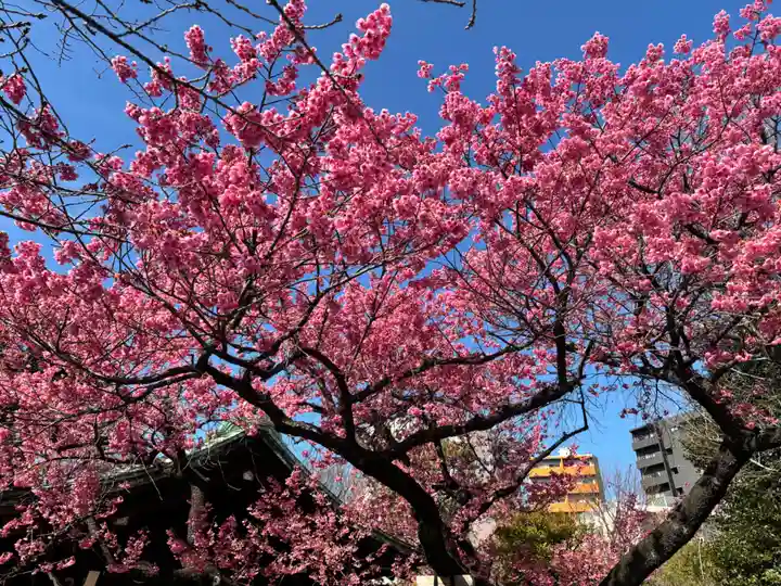 荏原神社(東京都)