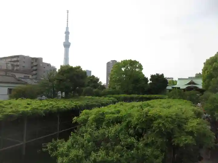 亀戸天神社(東京都)