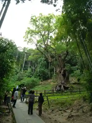 武雄神社(佐賀県)