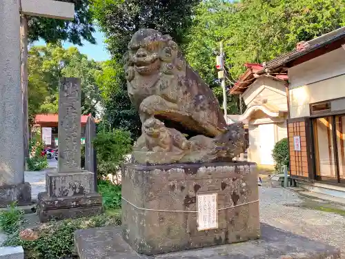 出雲伊波比神社の狛犬