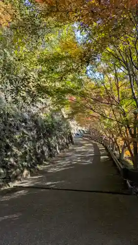 西明寺(京都府)