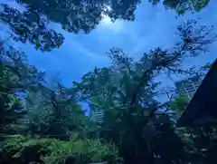 愛宕神社(東京都)