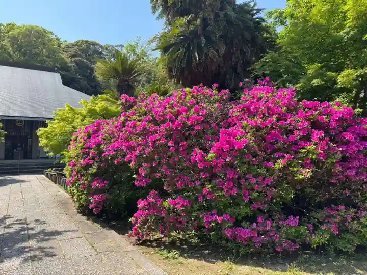 伊勢の国 四天王寺(三重県)