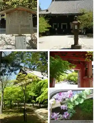 真正極楽寺(真如堂)(京都府)