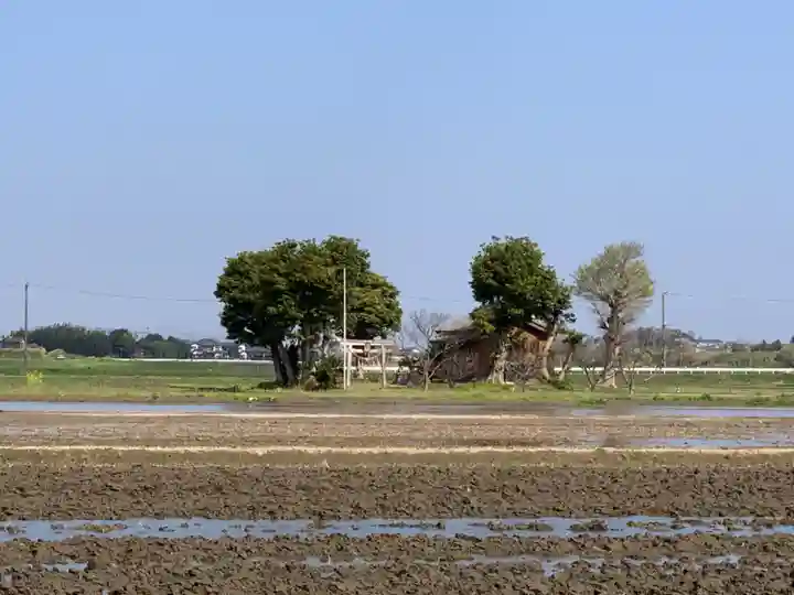 日吉神社のその他建物