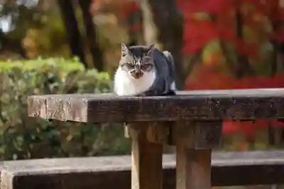 玉野御嶽神社(愛知県)
