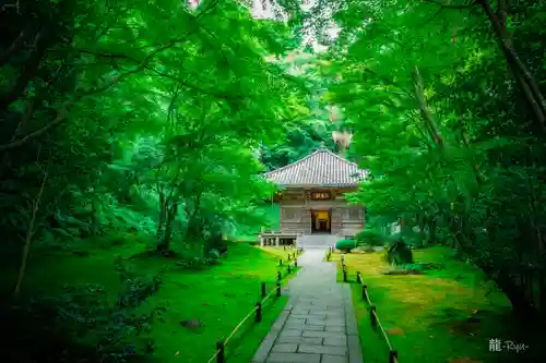 円通院(宮城県)