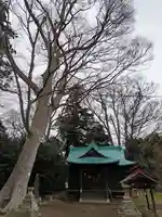 酒門神社(茨城県)