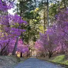 伊奈冨神社の自然