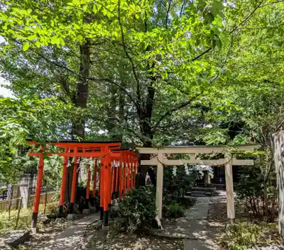 若宮八幡宮 の鳥居