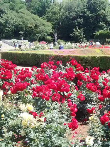 深大寺(東京都)