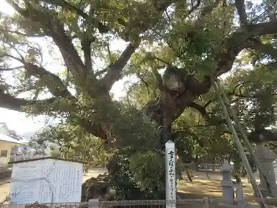 善通寺(香川県)