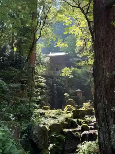 最乗寺（道了尊）(神奈川県)
