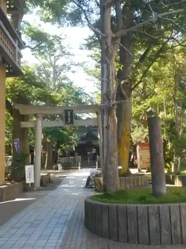 亀岡八幡宮（亀岡八幡神社）の鳥居