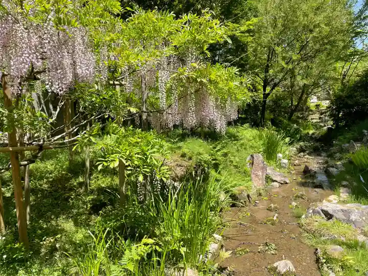 春日大社(奈良県)