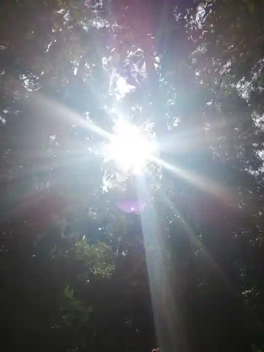 伊勢神宮内宮(皇大神宮)の自然