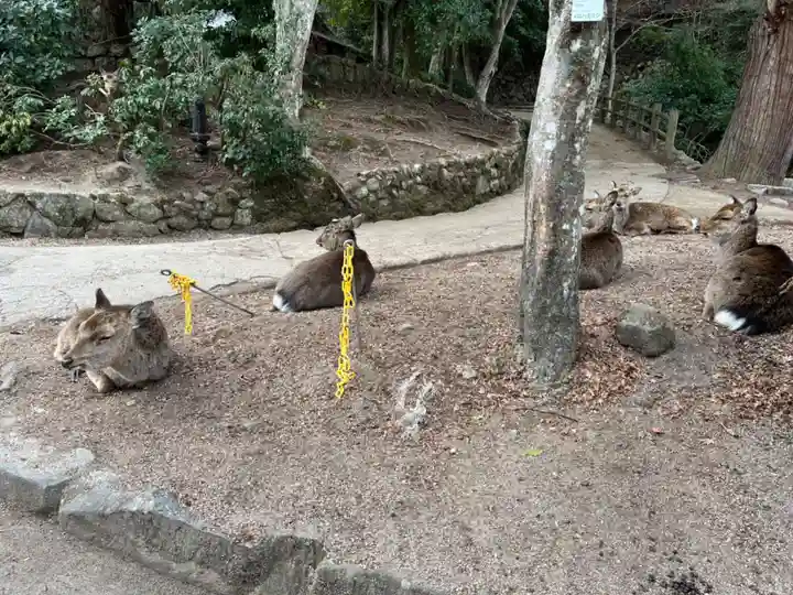 大聖院(広島県)