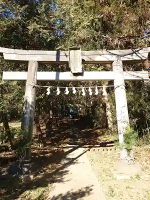 八宮神社（杉山）(埼玉県)