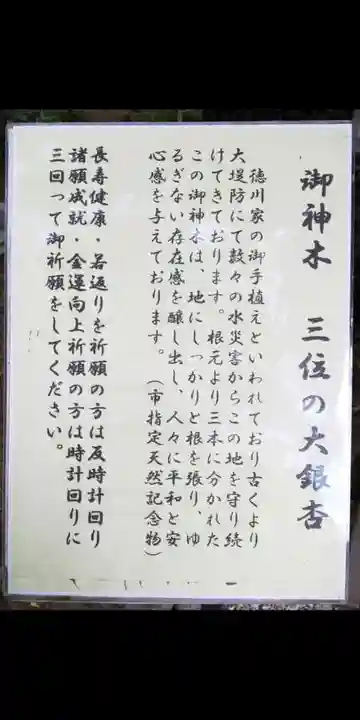 堤治神社の自然