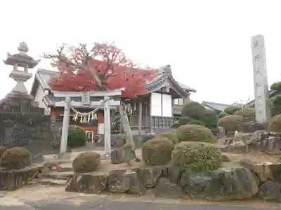 藤井秋葉社の鳥居