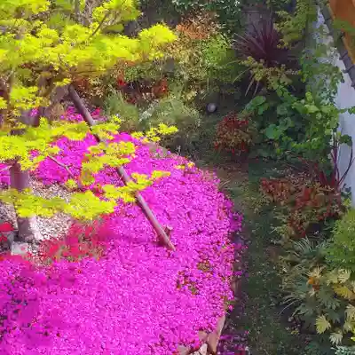 寿量山 速成寺(奈良県)