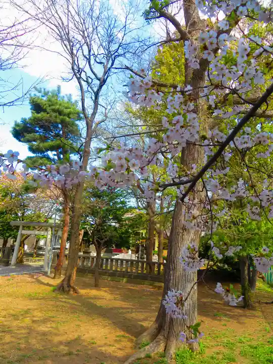 江南神社(北海道)