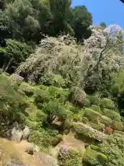 医光寺の庭園