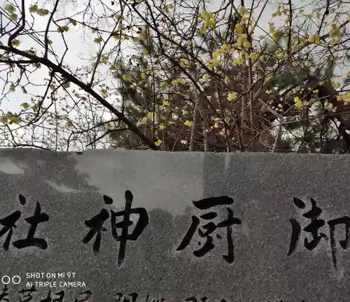 御厨神社の自然