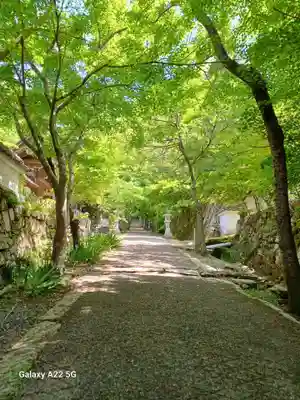 龍華寺(広島県)