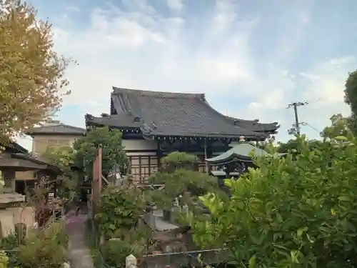 興徳寺の本殿・本堂