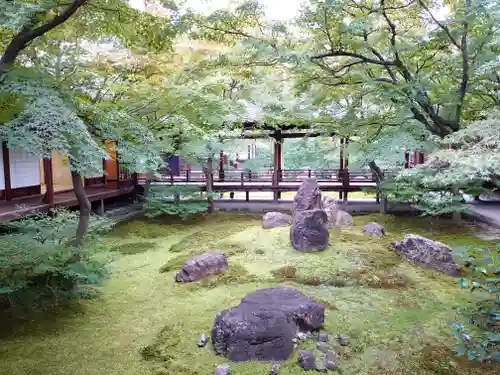 建仁寺（建仁禅寺）の庭園