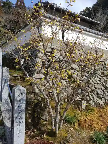 応聖寺(兵庫県)