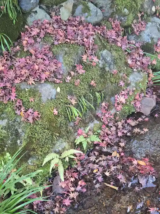 南禅寺(京都府)