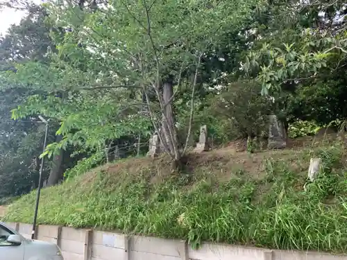 石合大師の自然