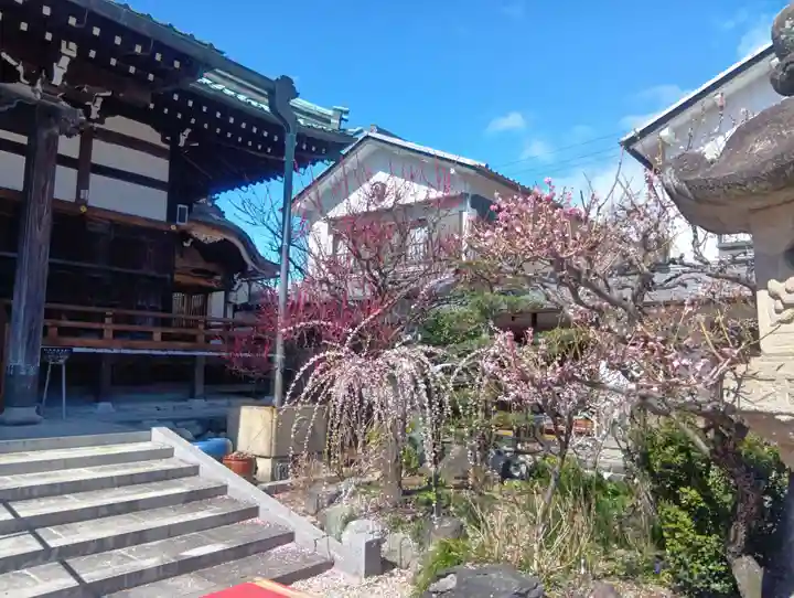 光受寺(岐阜県)