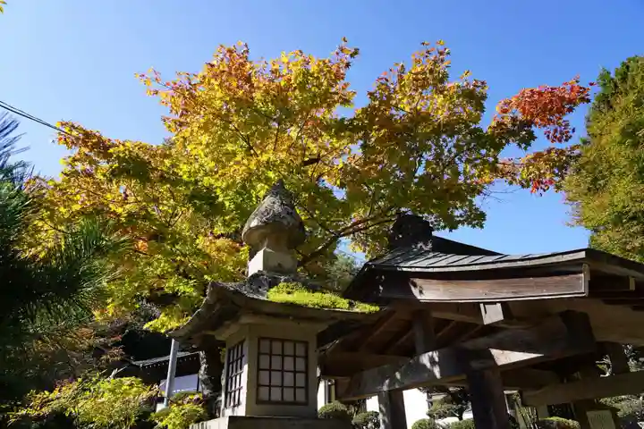 鹿島大神宮の自然