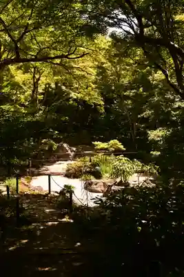 宝筐院(京都府)